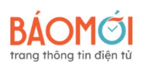 Phương tiện vận tải trong dòng chảy logistics Việt Nam