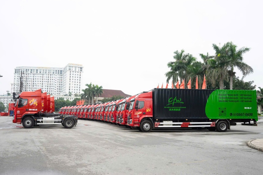 Phương tiện vận tải trong dòng chảy logistics Việt Nam